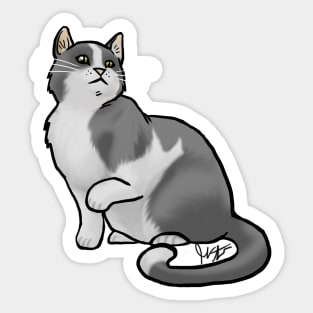Cat - European Shorthair - Black and White Sticker